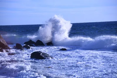 DSC_0593 (Large).JPG